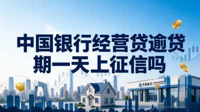 中行小微速贷银税贷贷款申请金额多少