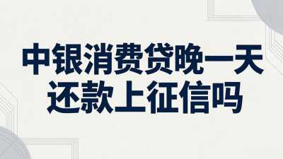 中银消费贷晚一天还款上征信吗(图1) 中银消费贷晚一天还款上征信吗.jpg